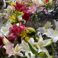 札幌諏訪神社の手水舎