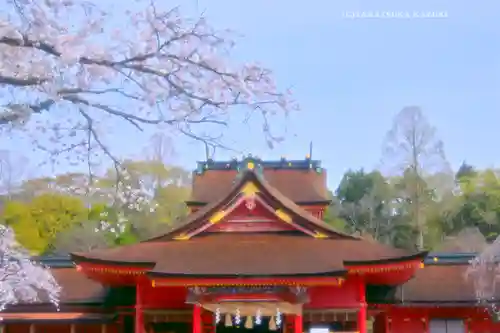 富士山本宮浅間大社(静岡県)