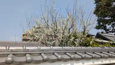 観音寺(大阪府)