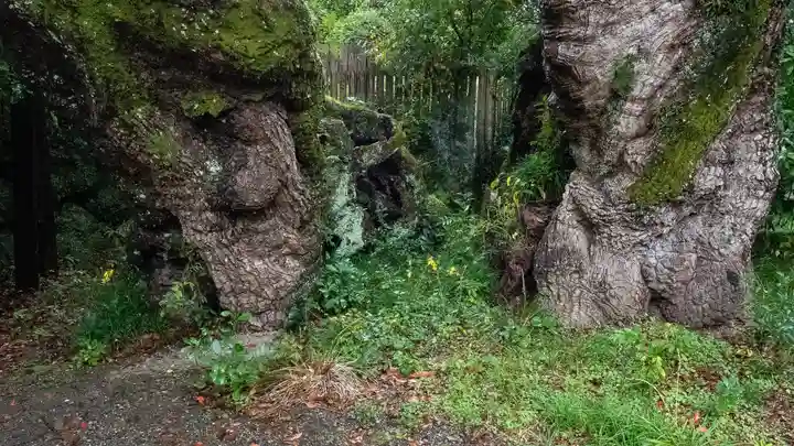 伊勢神宮外宮(豊受大神宮)(三重県)