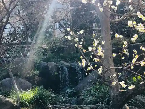 湯島天満宮の庭園