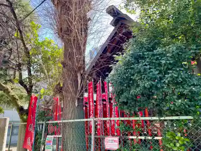 諏訪神社の{uncategorized: "未分類", other: "その他", undefined: "問題あり", building: "その他建物", grave: "お墓", sacred_gate: "鳥居", guardian: "狛犬", statue: "像", buddha: "仏像", history: "歴史", nature: "自然", garden: "庭園", animal: "動物", pagoda: "塔", temizu: "手水舎", mountain_gate: "山門・神門", sanctuary: "本殿・本堂", subordinate: "末社・摂社", art: "芸術", scenery: "景色", jizo: "地蔵", ema: "絵馬", goshuin: "御朱印", omikuji: "おみくじ", items: "授与品その他", amulet: "お守り", goshuincho: "御朱印帳", eats: "食事", festival: "お祭り", votive_dance: "神楽", shichigosan: "七五三参", wedding: "結婚式", experience: "体験その他", initially: "初詣", around: "周辺", anti_infection: "感染症対策"}
