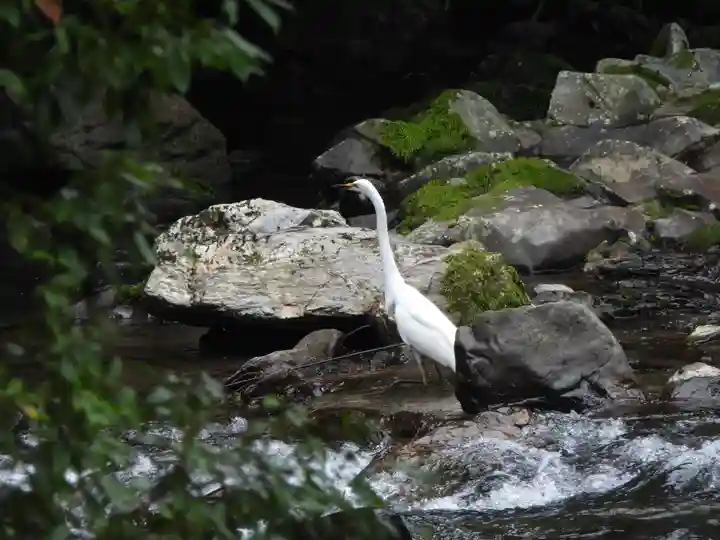 西明寺(京都府)