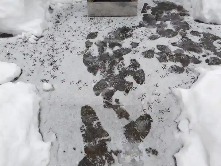旭川銀座弁天神社の庭園