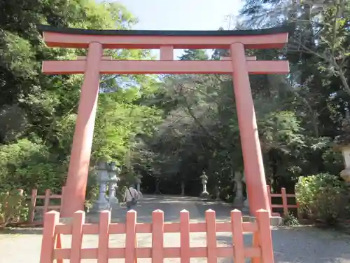 香取神宮の鳥居