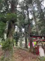 大宮温泉神社のその他建物
