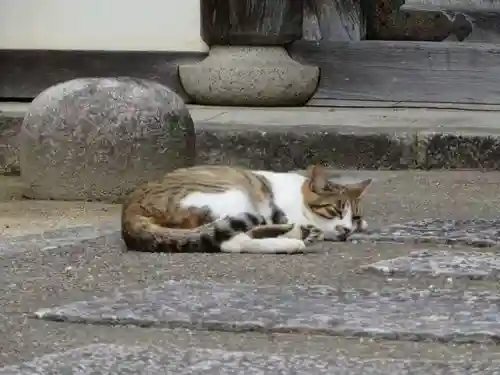 智恩寺(京都府)