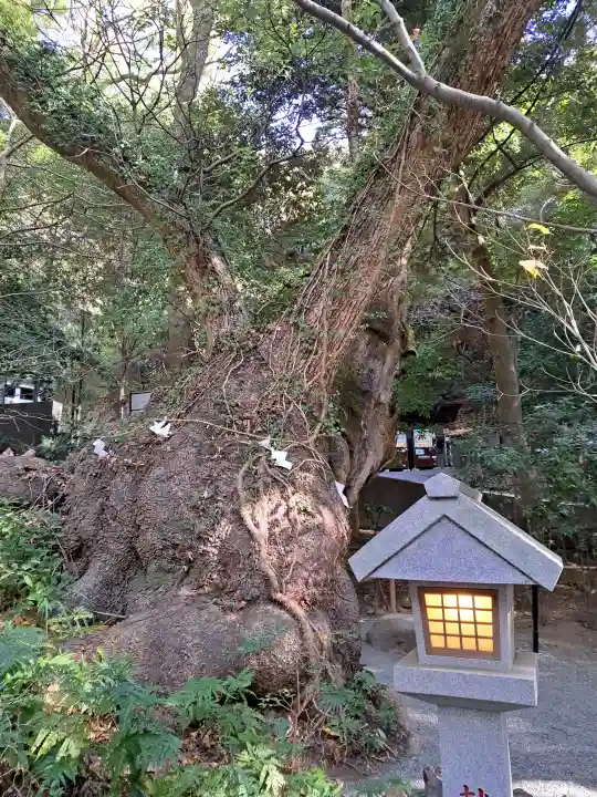 來宮神社(静岡県)