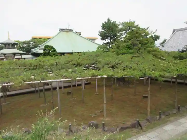 善養寺(東京都)