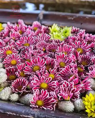 立志神社(滋賀県)