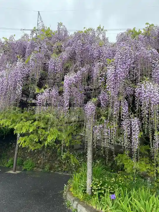 子安地蔵寺(和歌山県)