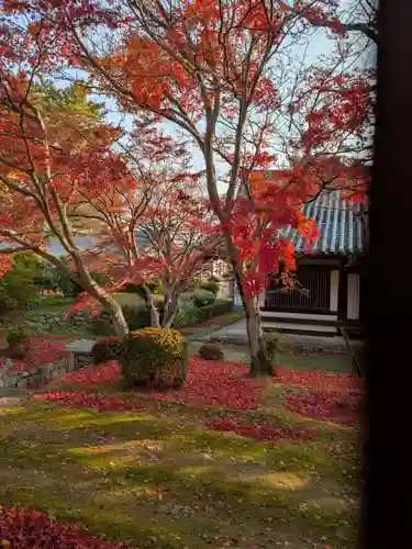 法隆寺(奈良県)
