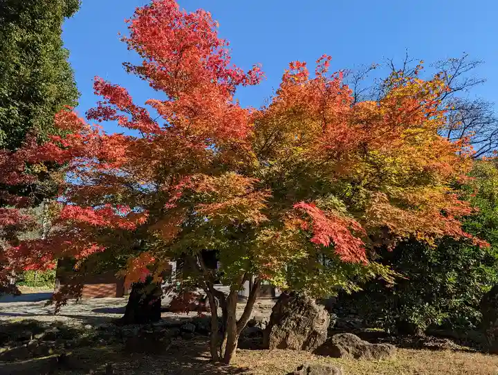 恵林寺(山梨県)
