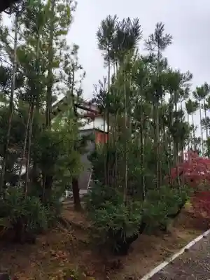酒見寺(兵庫県)