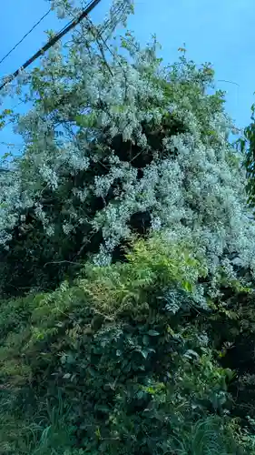 西光禅寺(滋賀県)