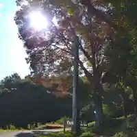 諏訪大社(長野県)