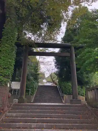 所澤神明社の鳥居