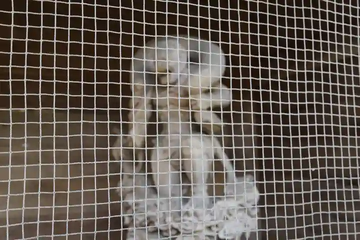 大祥寺(岩手県)