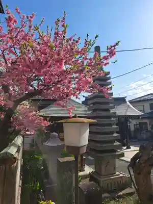 蓮久寺(神奈川県)