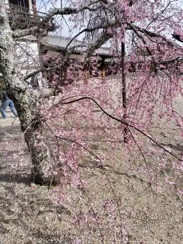 法隆寺(奈良県)