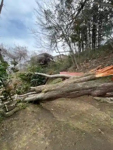 仙台八坂神社(宮城県)