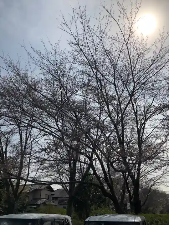 櫻木神社(千葉県)