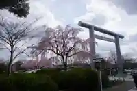 櫻木神社の鳥居