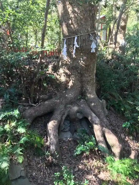 紀州東照宮(和歌山県)