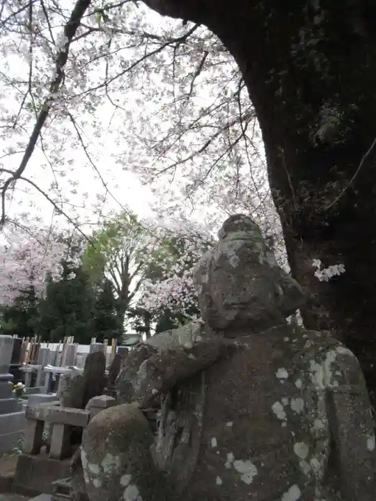 真光寺(千葉県)