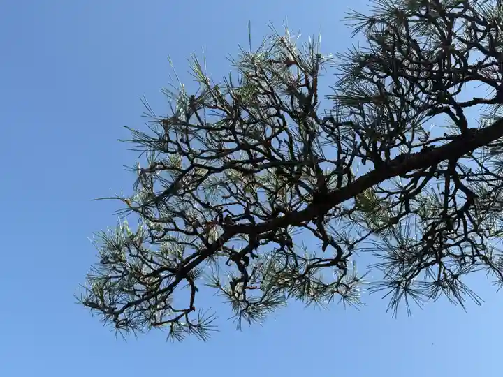 西方山極楽寺(岐阜県)