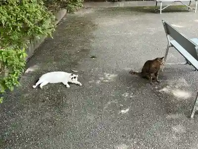 唐澤山神社(栃木県)