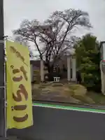 智観寺の山門・神門