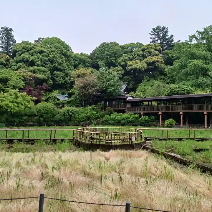 本土寺(千葉県)