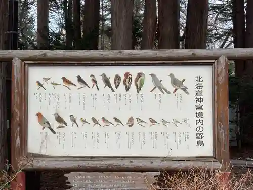 北海道神宮の動物