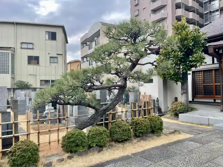 龍光寺の{uncategorized: "未分類", other: "その他", undefined: "問題あり", building: "その他建物", grave: "お墓", sacred_gate: "鳥居", guardian: "狛犬", statue: "像", buddha: "仏像", history: "歴史", nature: "自然", garden: "庭園", animal: "動物", pagoda: "塔", temizu: "手水舎", mountain_gate: "山門・神門", sanctuary: "本殿・本堂", subordinate: "末社・摂社", art: "芸術", scenery: "景色", jizo: "地蔵", ema: "絵馬", goshuin: "御朱印", omikuji: "おみくじ", items: "授与品その他", amulet: "お守り", goshuincho: "御朱印帳", eats: "食事", festival: "お祭り", votive_dance: "神楽", shichigosan: "七五三参", wedding: "結婚式", experience: "体験その他", initially: "初詣", around: "周辺", anti_infection: "感染症対策"}