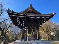 洞泉寺(東京都)