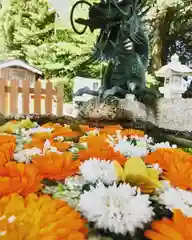 立志神社の手水