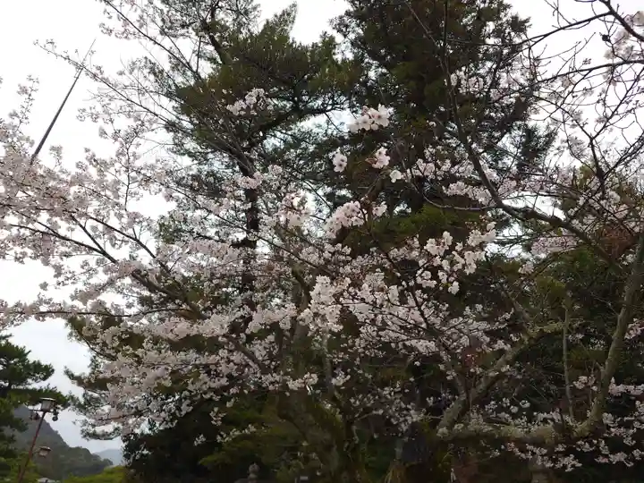 厳島神社(広島県)