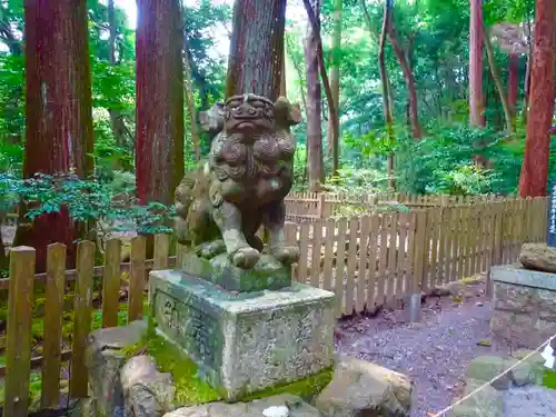 椿大神社の狛犬