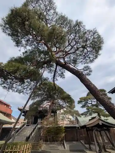 光明院(東京都)