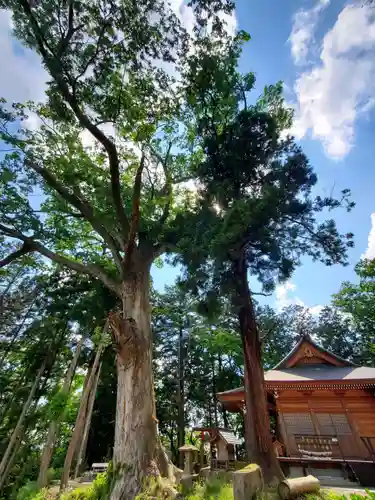阿久津「田村神社」（郡山市阿久津町）旧社名：伊豆箱根三嶋三社(福島県)
