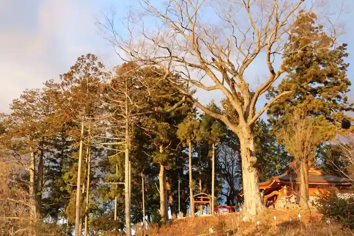阿久津「田村神社」(郡山市阿久津町)旧社名:伊豆箱根三嶋三社の景色