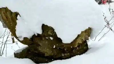 富川八幡宮の{uncategorized: "未分類", other: "その他", undefined: "問題あり", building: "その他建物", grave: "お墓", sacred_gate: "鳥居", guardian: "狛犬", statue: "像", buddha: "仏像", history: "歴史", nature: "自然", garden: "庭園", animal: "動物", pagoda: "塔", temizu: "手水舎", mountain_gate: "山門・神門", sanctuary: "本殿・本堂", subordinate: "末社・摂社", art: "芸術", scenery: "景色", jizo: "地蔵", ema: "絵馬", goshuin: "御朱印", omikuji: "おみくじ", items: "授与品その他", amulet: "お守り", goshuincho: "御朱印帳", eats: "食事", festival: "お祭り", votive_dance: "神楽", shichigosan: "七五三参", wedding: "結婚式", experience: "体験その他", initially: "初詣", around: "周辺", anti_infection: "感染症対策"}