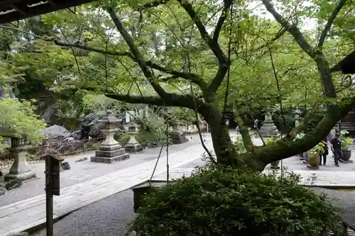 石山寺の自然