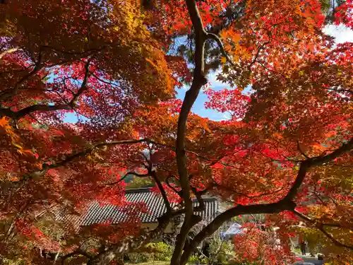 大国寺(兵庫県)