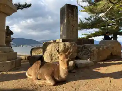 大願寺(広島県)