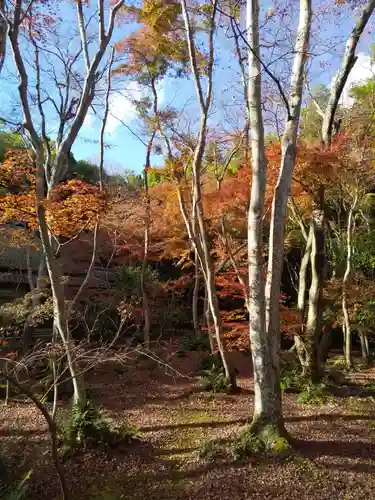 祇王寺(京都府)