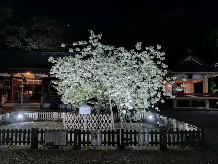 上地八幡宮の庭園
