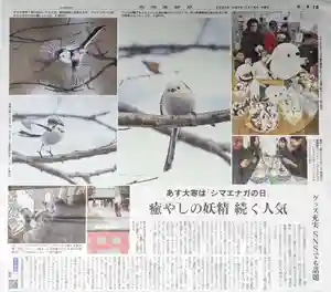 帯廣神社の動物(2025年01月19日(日) 07時53分22秒投稿)