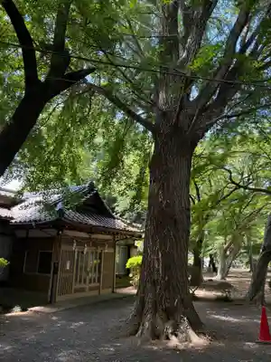 鹿島神社(茨城県)